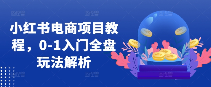 小红书电商项目教程，0-1入门全盘玩法解析-星禾网创星球