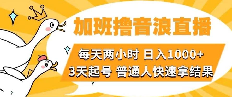 加班撸音浪直播，每天两小时，日入1000+，直播话术才3句，3天起号，普通人快速拿结果【揭秘】-星禾网创星球