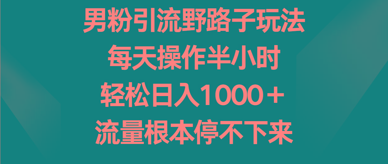男粉引流野路子玩法，每天操作半小时轻松日入1000＋，流量根本停不下来-星禾网创星球