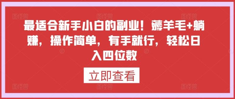 最适合新手小白的副业！薅羊毛+躺赚，操作简单，有手就行，轻松日入四位数【揭秘】-星禾网创星球
