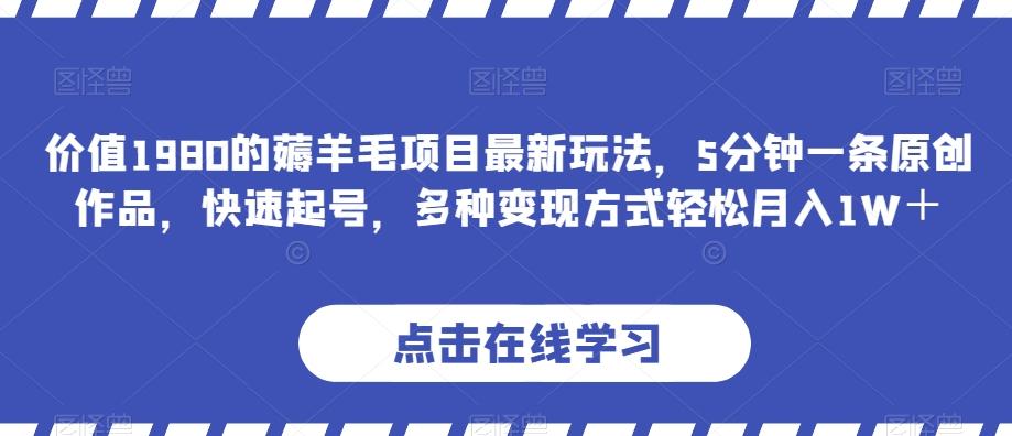 价值1980的薅羊毛项目最新玩法，5分钟一条原创作品，快速起号，多种变现方式轻松月入1W＋【揭秘】-星禾网创星球