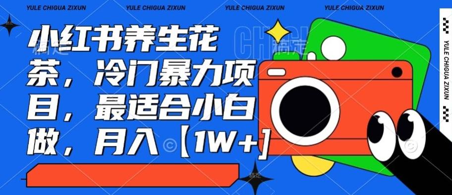 小红书养生花茶，冷门暴力项目，最适合小白做，月入【1W+】-星禾网创星球