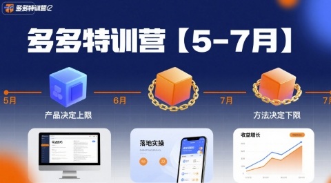 多多特训营，产品决定上限，方法决定下限，各种玩法技巧落地实操(更新)-星禾网创星球