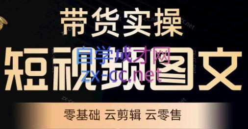 鑫哥·2024零基础短视频带货实操营-星禾网创星球