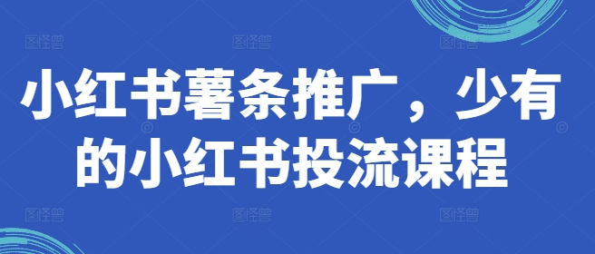 小红书薯条推广，少有的小红书投流课程-星禾网创星球