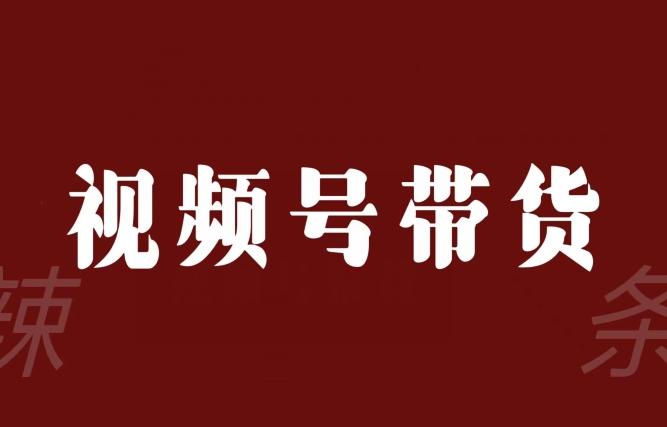 视频号带货联盟，赚信息差的带货钱，只需手机随时随地都可以做！-星禾网创星球