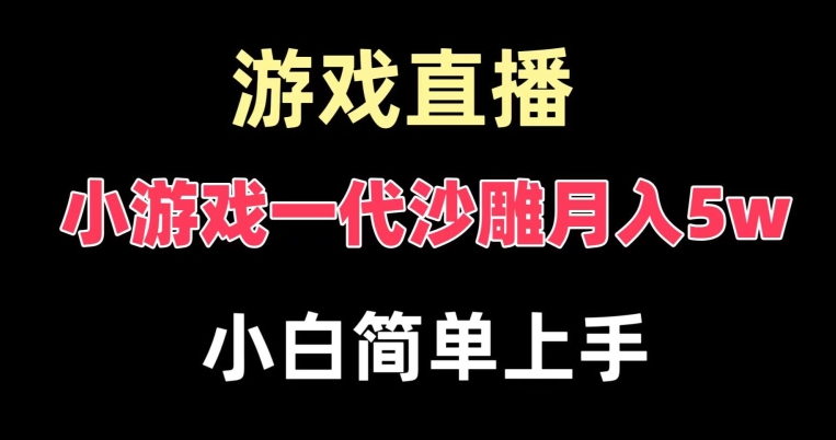 玩小游戏一代沙雕月入5w，爆裂变现，快速拿结果，高级保姆式教学【揭秘】-星禾网创星球