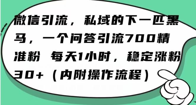 怎么搞精准创业粉？微信新赛道，每天一小时，利用Ai一个问答日引100精准粉-星禾网创星球