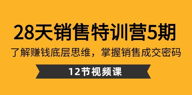 28天销售特训营5期：了解赚钱底层思维，掌握销售成交密码（12节课）-星禾网创星球
