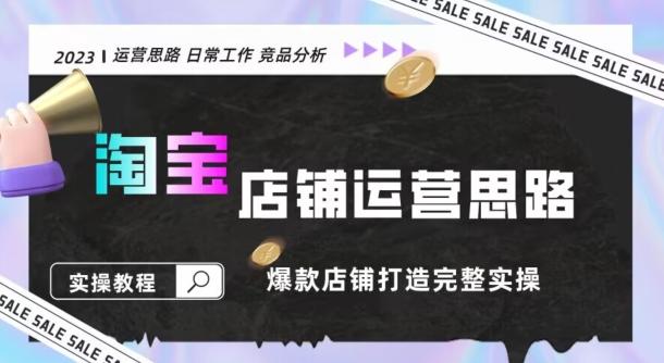 2023淘宝店铺运营全攻略：竞品分析，打造爆款店铺完整实操（附运营思维素材）-星禾网创星球