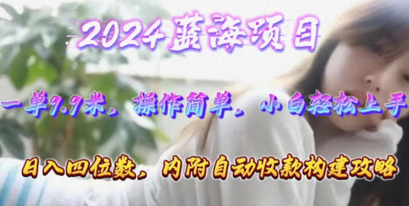 年轻群体的蓝海市场，1单9.9元，操作简单，小白轻松上手，日入四位数-星禾网创星球