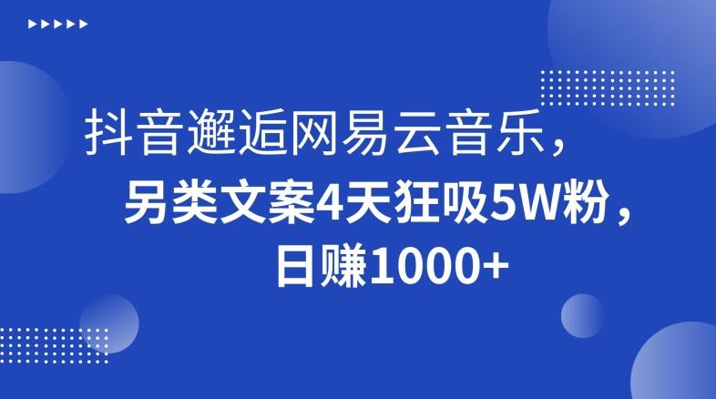 抖音邂逅网易云音乐，另类文案4天狂吸5W粉，日赚1000+【揭秘】-星禾网创星球