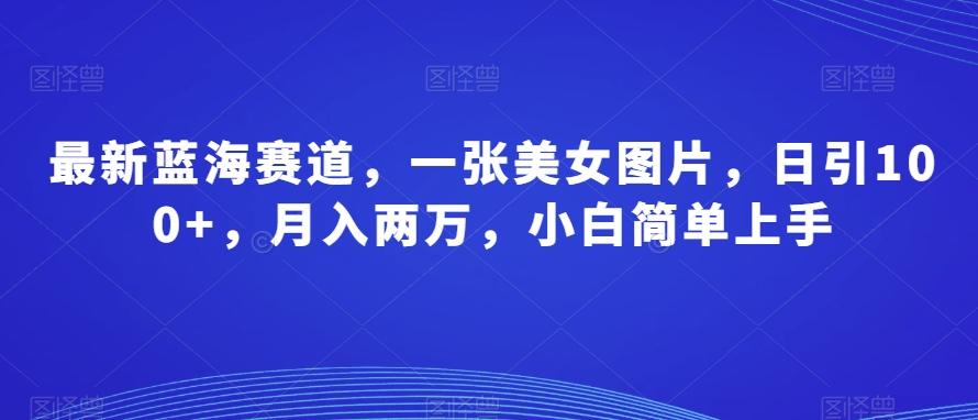 最新蓝海赛道，一张美女图片，日引100+，月入两万，小白简单上手-星禾网创星球