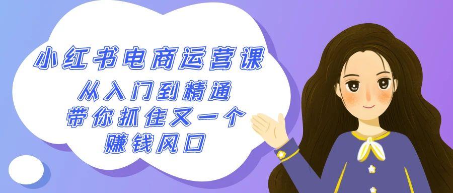 2024小红书电商运营课，从入门到精通，带你抓住又一个赚钱风口(50节课)-星禾网创星球