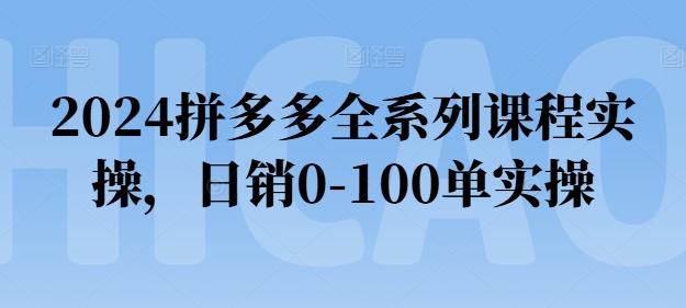 2024拼多多全系列课程实操，日销0-100单实操【必看】-星禾网创星球