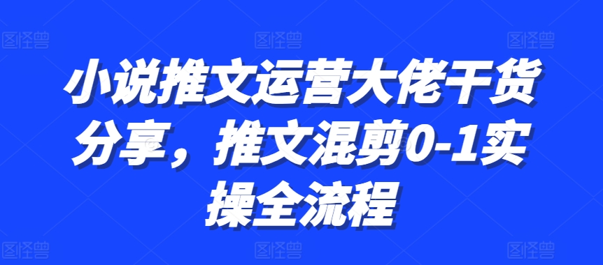 小说推文运营大佬干货分享，推文混剪0-1实操全流程-星禾网创星球
