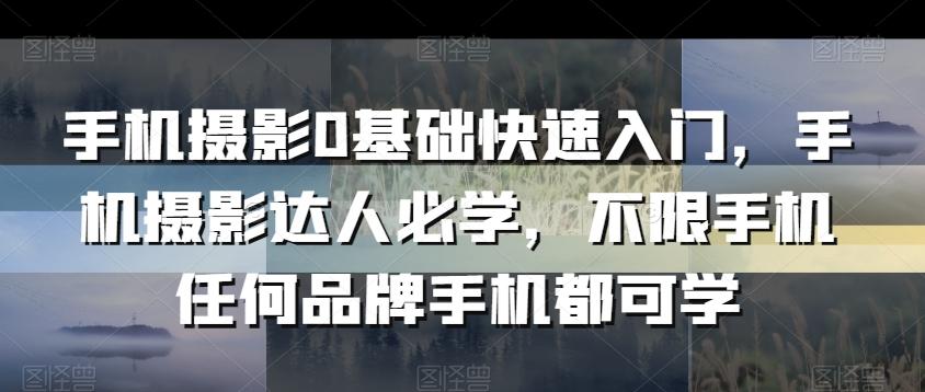 手机摄影0基础快速入门，手机摄影达人必学，不限手机任何品牌手机都可学-星禾网创星球