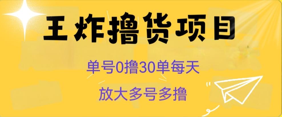 王炸撸货项目，单号0撸30单每天，多号多撸【揭秘】-星禾网创星球