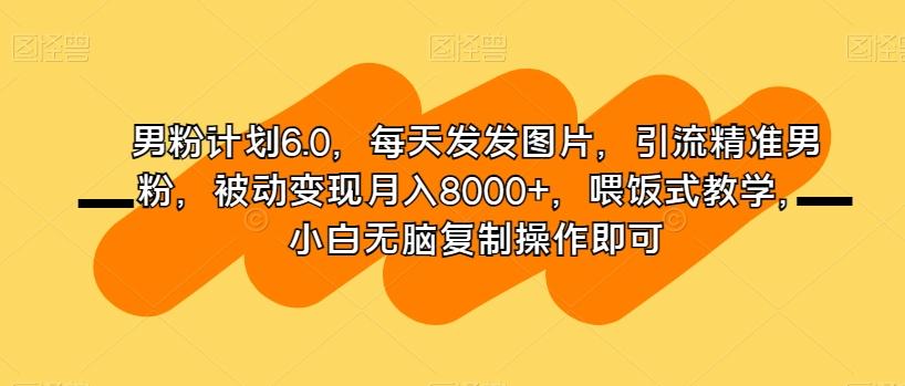 男粉计划6.0，每天发发图片，引流精准男粉，被动变现月入8000+，喂饭式教学，小白无脑复制操作即可-星禾网创星球