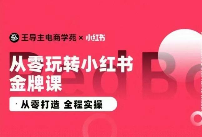 王导主·小红书电商运营实操课，​从零打造  全程实操-星禾网创星球