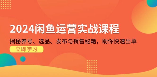 2024闲鱼运营实战课程：揭秘养号、选品、发布与销售秘籍，助你快速出单-星禾网创星球