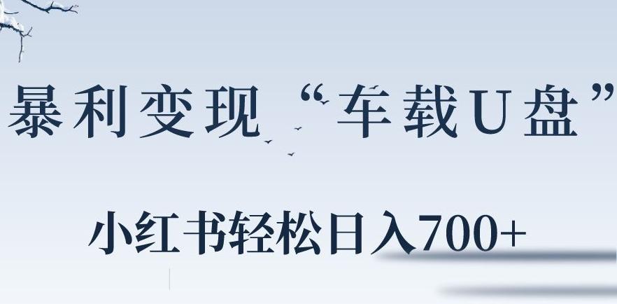 小红书“车载U盘”暴利引流，日入700+-星禾网创星球
