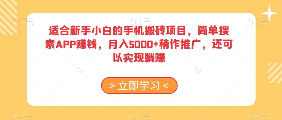 适合新手小白的手机搬砖项目，简单搜素APP赚钱，月入5000+稍作推广，还可以实现躺赚【揭秘】-星禾网创星球