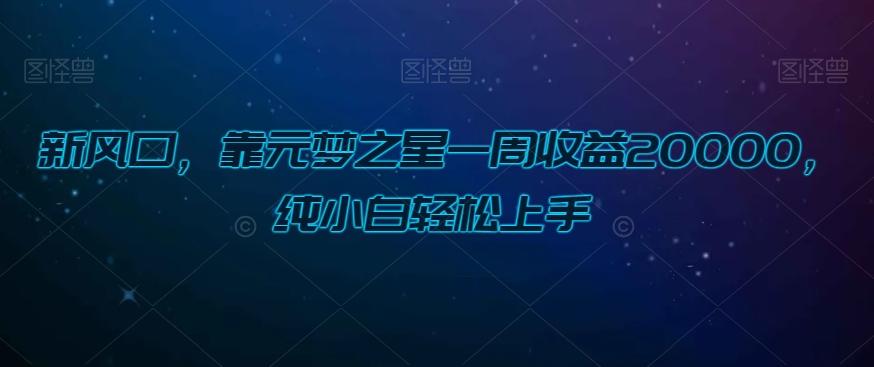 新风口，靠元梦之星一周收益20000，纯小白轻松上手-星禾网创星球