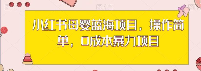 小红书母婴蓝海项目，操作简单，0成本暴力项目-星禾网创星球