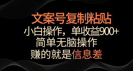 文案号掘金，简单复制粘贴，小白操作，单作品收益900+【揭秘】-星禾网创星球