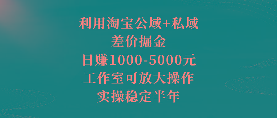 利用淘宝公域+私域差价掘金，日赚1000-5000元，工作室可放大操作，实操...-星禾网创星球