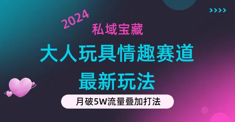 私域宝藏：大人玩具情趣赛道合规新玩法，零投入，私域超高流量成单率高-星禾网创星球