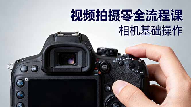 视频拍摄零全流程课：从相机基础操作到电影构图、光影布光、分镜头设计等-星禾网创星球
