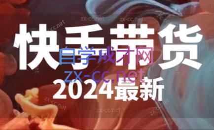 快手带货(2024最新)-星禾网创星球