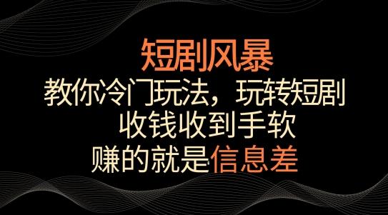 短剧风暴，教你冷门玩法，玩转短剧，收钱收到手软【揭秘】-星禾网创星球