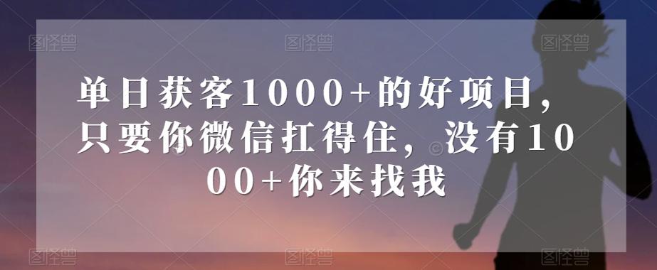 单日获客1000+的好项目，只要你微信扛得住，没有1000+你来找我【揭秘】-星禾网创星球