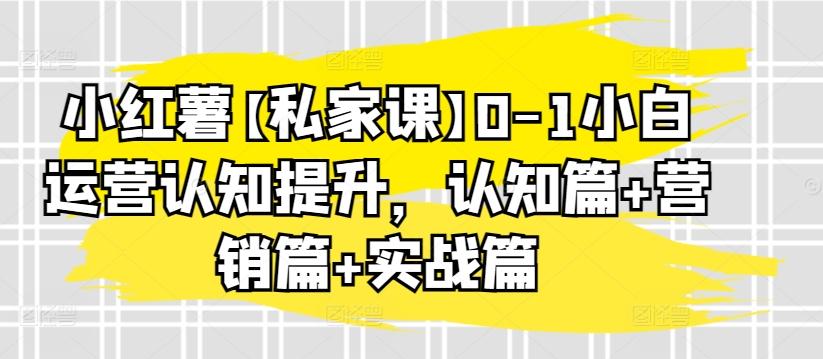 小红薯【私家课】0-1小白运营认知提升，认知篇+营销篇+实战篇-星禾网创星球