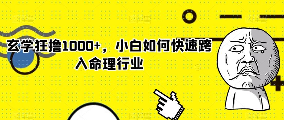 玄学狂撸1000+，小白如何快速跨入命理行业-星禾网创星球