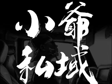 小爷·私域项目操盘手-星禾网创星球