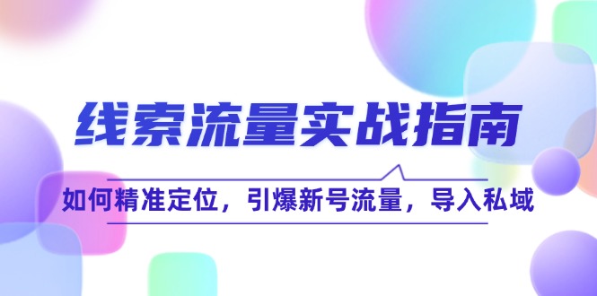 线 索 流 量-实战指南：如何精准定位，引爆新号流量，导入私域-星禾网创星球