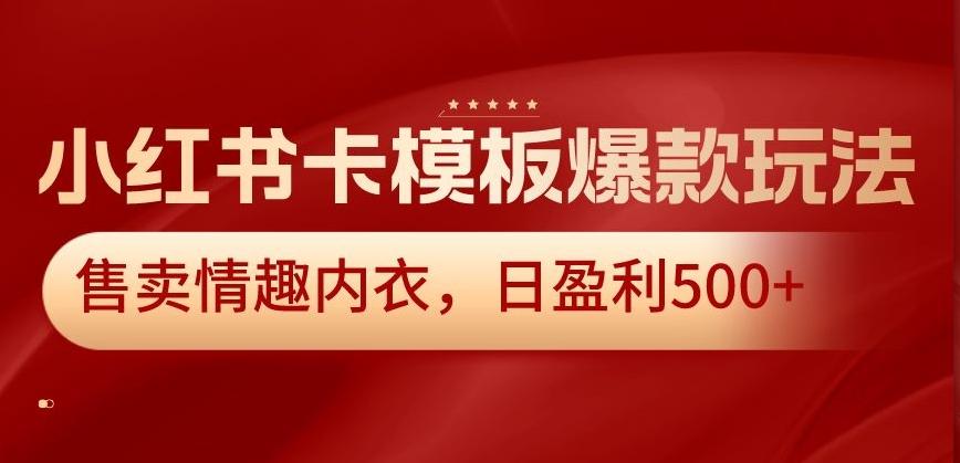 小红书卡模板爆款玩法，售卖情趣内衣，日盈利500+【揭秘】-星禾网创星球