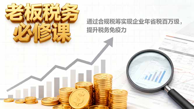 老板税务必修课,通过合规税筹实现企业年省税百万级,提升税务免疫力-星禾网创星球