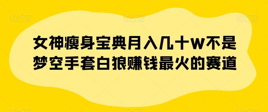女神瘦身宝典月入几十W不是梦空手套白狼赚钱最火的赛道【揭秘】-星禾网创星球