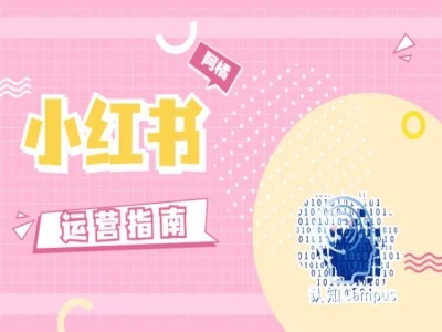 小红书运营指南，没有套路，全是经验-星禾网创星球