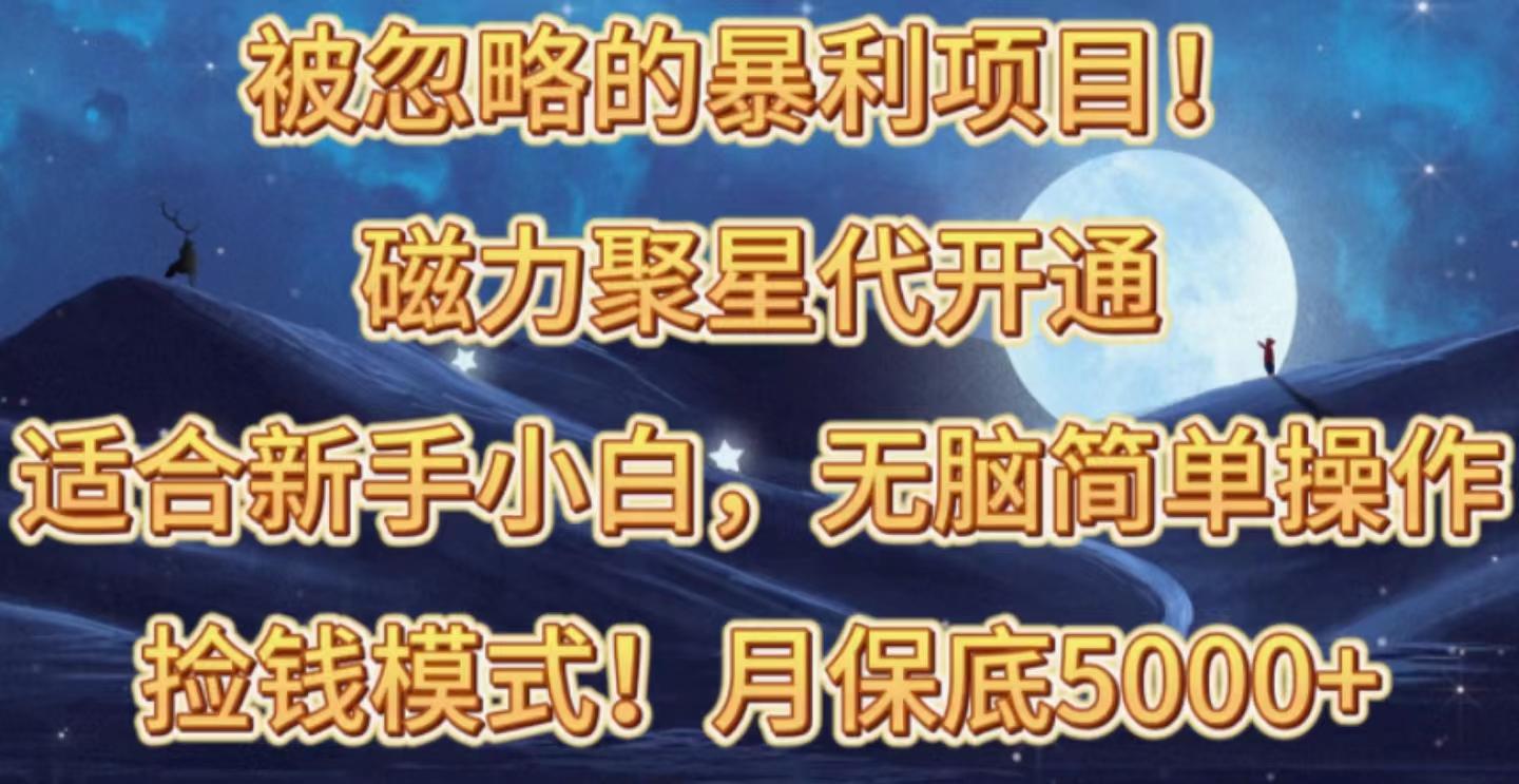 被忽略的暴利项目！磁力聚星代开通捡钱模式，轻松月入五六千-星禾网创星球