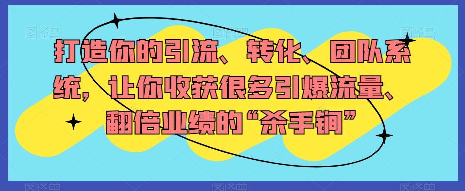打造你的引流、转化、团队系统，让你收获很多引爆流量、翻倍业绩的“杀手锏”-星禾网创星球