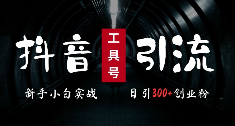 2024最新抖音工具号引流玩法，高效日引300+创业粉，当天变现5k，小白也可成为实战高手-星禾网创星球