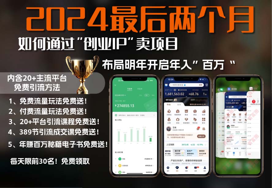 2024最后两个月如何通过”创业IP“卖项目年入”百万“,创业IP+最强引流...-星禾网创星球