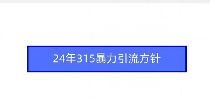 24年315暴力引流方针-星禾网创星球