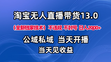 淘宝无人直播13.0，公域私域技术，不封号，不违规布局下半年旺季赛道，日入1K+(独家技术)【揭秘】-星禾网创星球